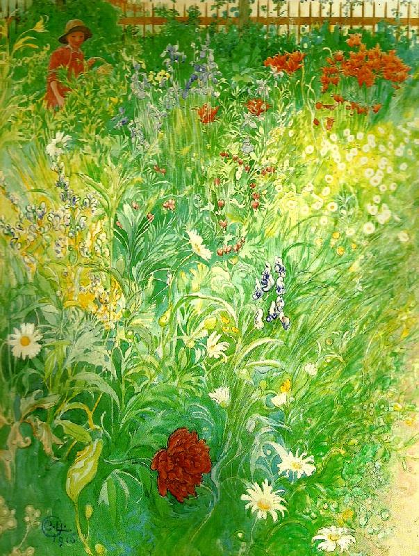 Carl Larsson blommor-sommarblommor oil painting picture